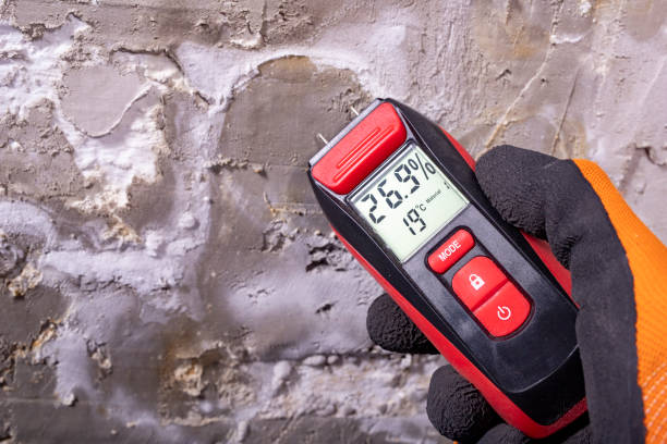 Best Black Mold Removal  in Village Of Waukesha, WI