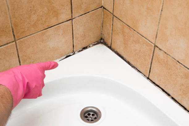 Village Of Waukesha, WI Mold Removal Company